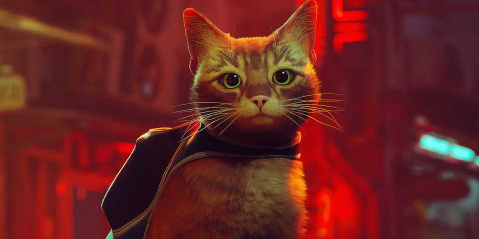 10 Best Cat Games on Steam