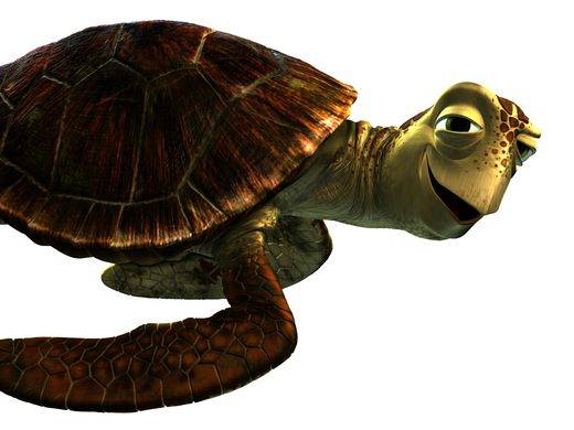 'Finding Dory' Images Spotlight Dory and Her Friends, Both Old and New